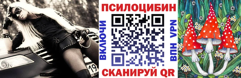 гидра ТОР  Калачинск  Псилоцибиновые грибы прущие грибы 